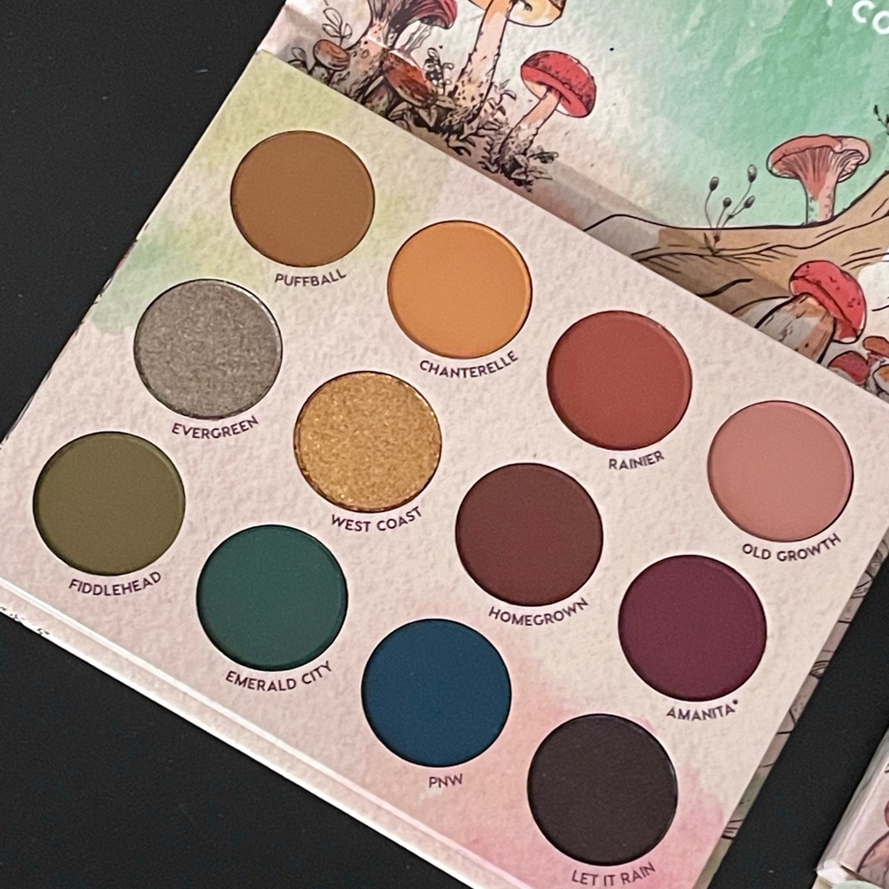 ColourPop Raw Beauty Kristi Eyeshadow Palette At Forest Sight - Like New w Box - Picture 3 of 4